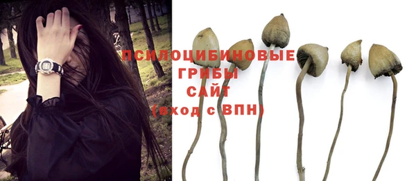 не бодяженный Баксан