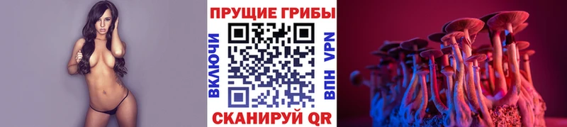 Галлюциногенные грибы MAGIC MUSHROOMS  как найти наркотики  Семилуки 